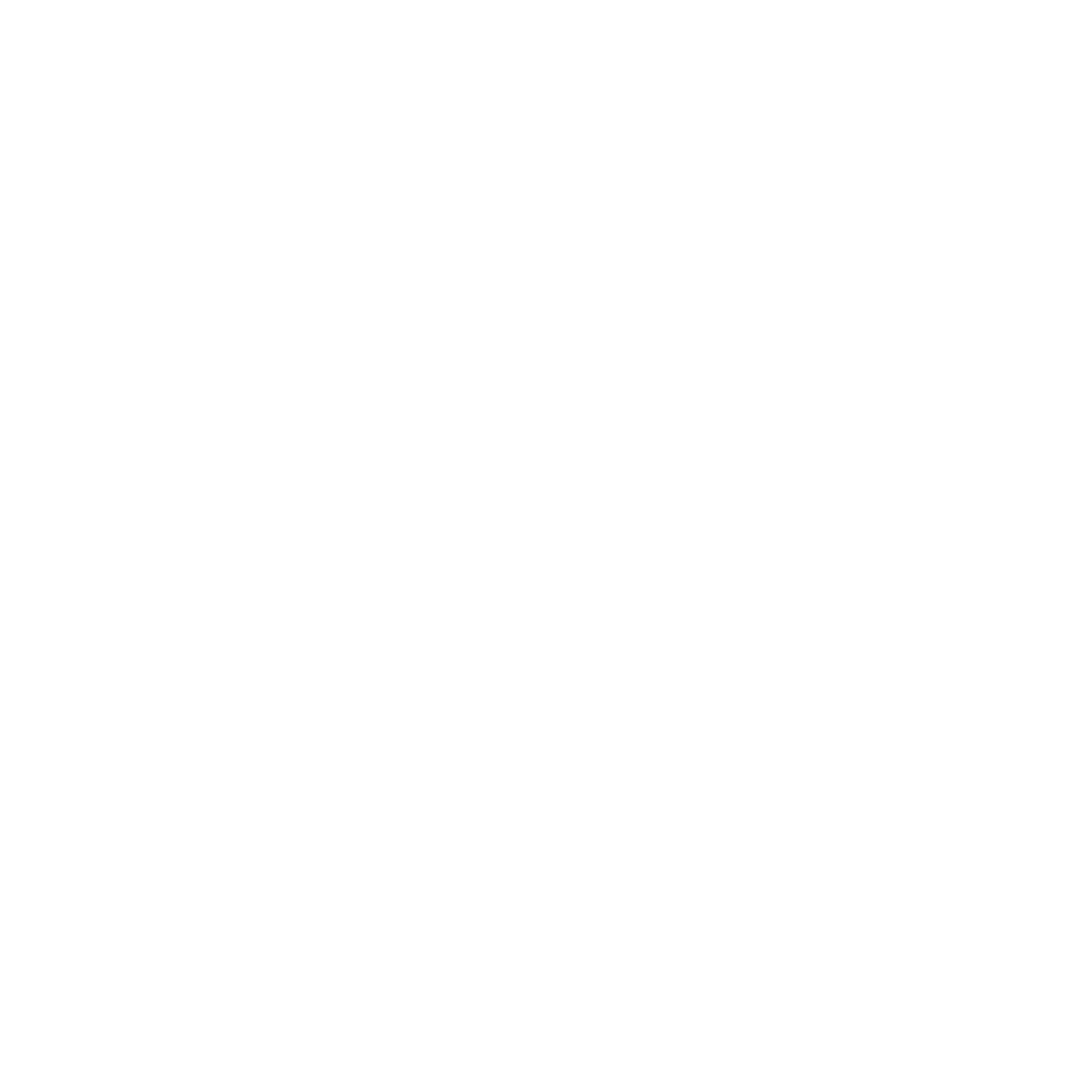 Organic SEO