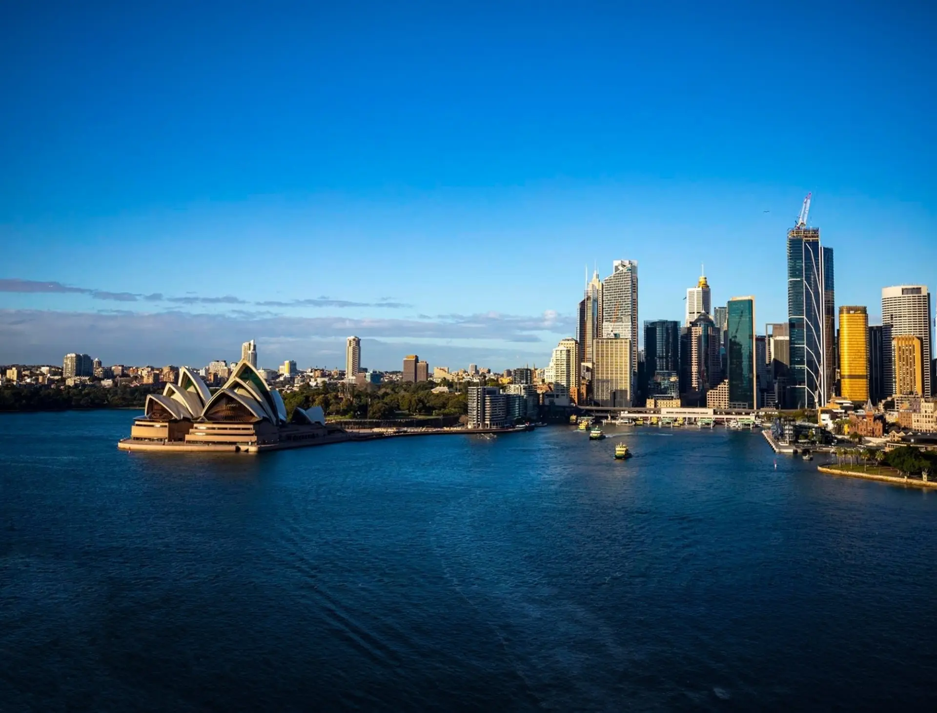 Dental Marketing Sydney